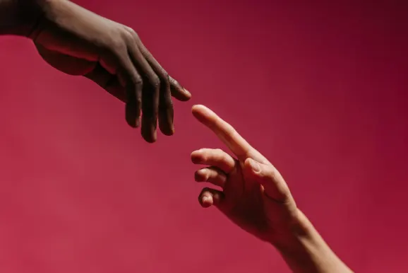 Rex Casino Stuðningur